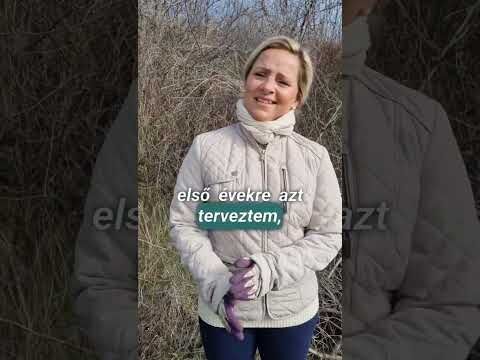 🍃 #életabirtokon #permakultúra #magasítottágyások 🍃…