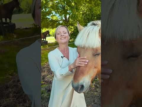 HEALTH MISSION | Vice President Videoblog